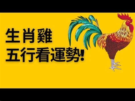 雞名字|生肖屬雞的個性、守護神、生肖姓名學取用法則與忌用字庫－芷蘭。